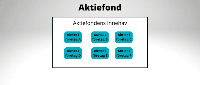 Aktiefond riskspridning