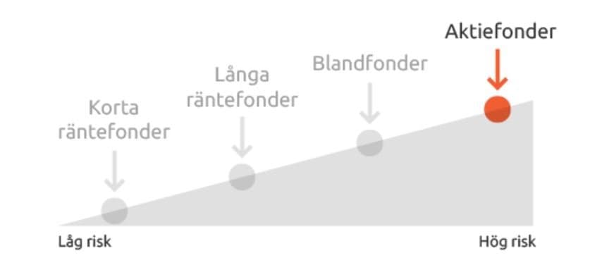aktiefond risk