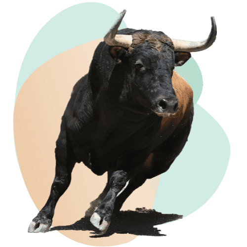 Läs mer om Valutahandel och CFD-handel