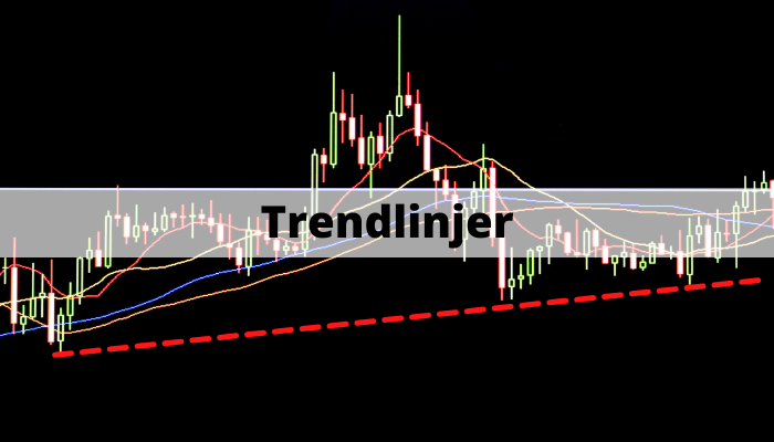 Trendlinjer